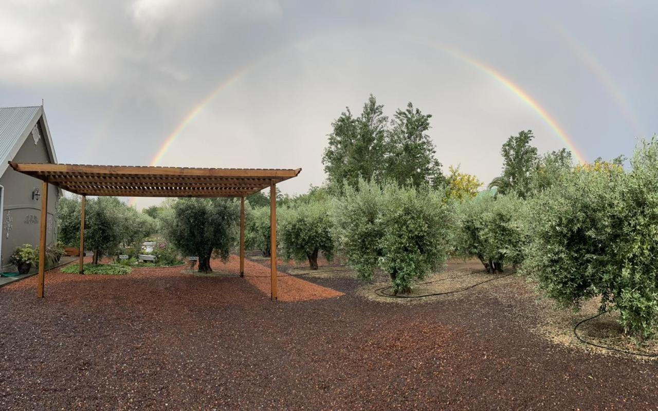 Hotel Mirihof Retreat And Olive Estate Montagu Exterior foto